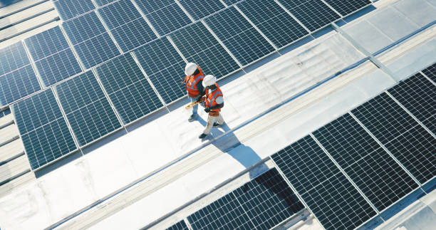 Best Roof Moss and Algae Removal  in Lykens, PA