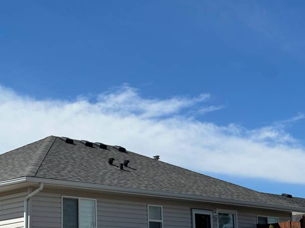 Best Cold Roofs  in Lykens, PA
